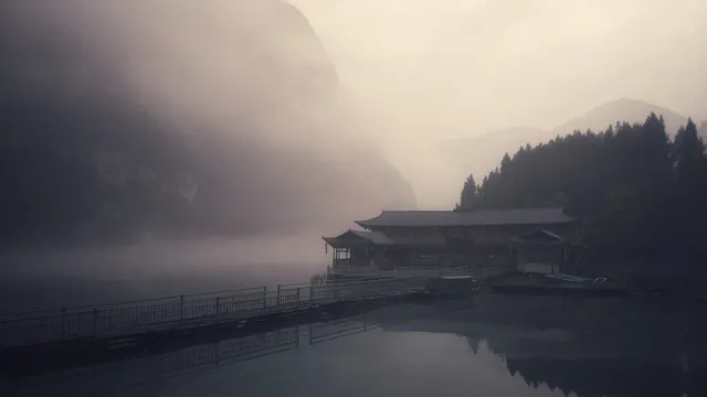 Vue de face d'un bâtiment avec une porte de garage et des arbustes.