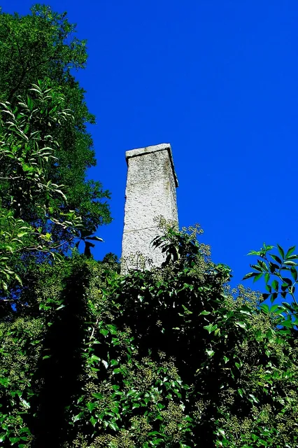 Vue d'une partie du corps de ferme à moitié en ruine avant la rénovation, une grande partie du jardin avec de l'herbe est visible.